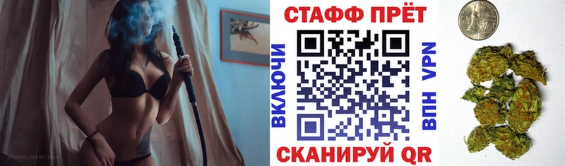 Купить закладку Галлюциногенные грибы  Кокаин  МЕФ  Гашиш  Бердск