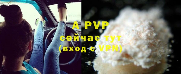 ГАЛЛЮЦИНОГЕННЫЕ ГРИБЫ Карталы