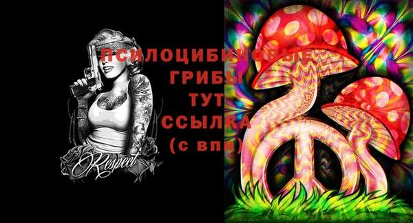 ГАЛЛЮЦИНОГЕННЫЕ ГРИБЫ Карталы