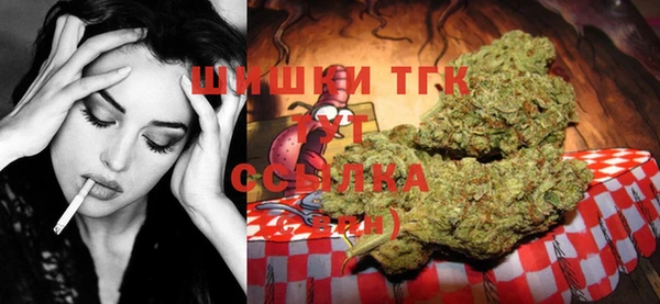 ГАЛЛЮЦИНОГЕННЫЕ ГРИБЫ Карталы