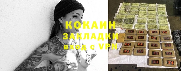 дживик Карпинск