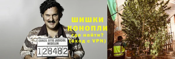 дживик Карпинск
