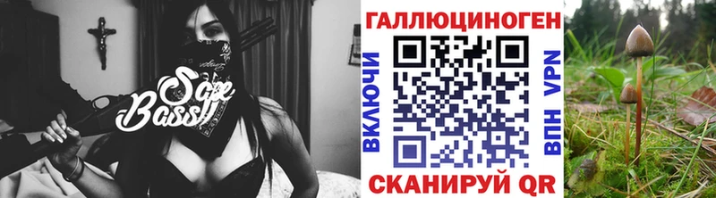 Купить где  Бердск  Галлюциногенные грибы прущие грибы 